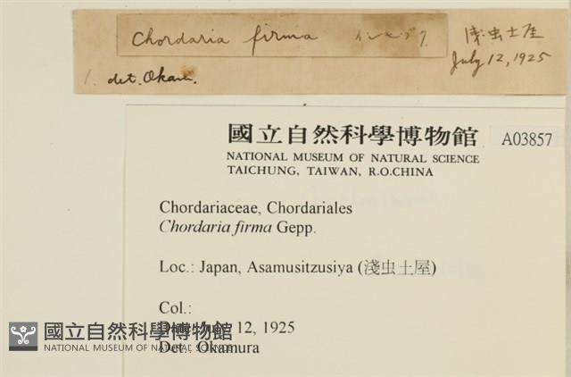 登錄號:A00003857藏品圖，第2張