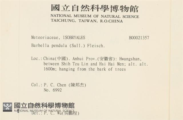 多疣懸蘚藏品圖，第2張