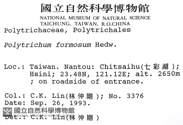 擬金髮蘚藏品圖，第2張