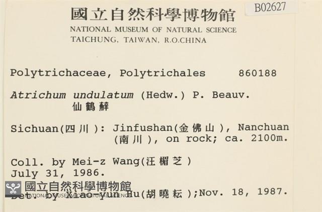 仙鶴蘚藏品圖，第2張