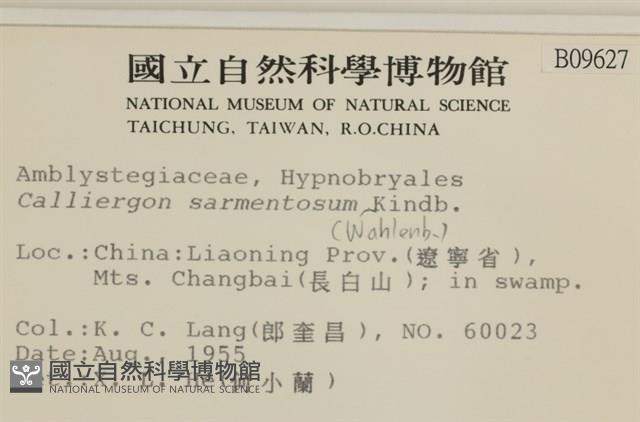 蔓枝濕原蘚藏品圖，第2張