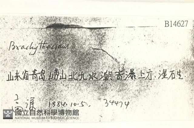 登錄號:B00014627藏品圖，第2張