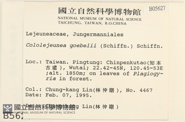 登錄號:B00005627藏品圖，第2張
