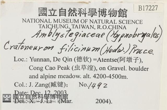登錄號:B00017227藏品圖，第2張