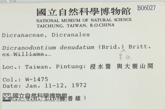 青毛苔藏品圖，第2張