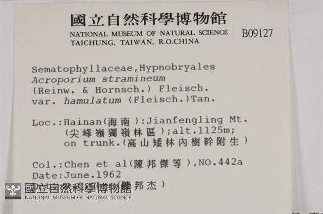 登錄號:B00009127藏品圖，第2張