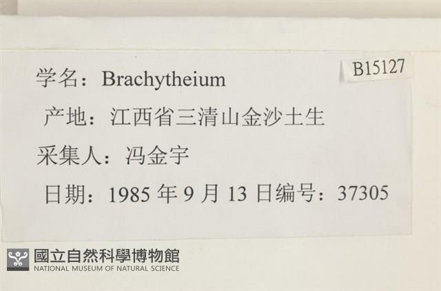 登錄號:B00015127藏品圖，第2張