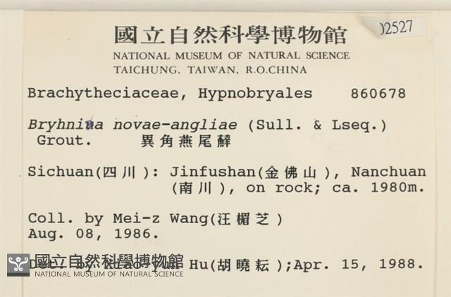 燕尾蘚藏品圖，第2張