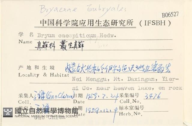 叢生真蘚藏品圖，第2張