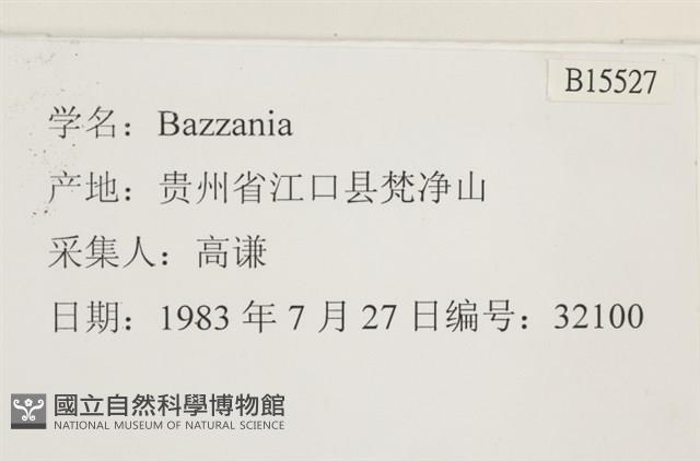 登錄號:B00015527藏品圖，第2張