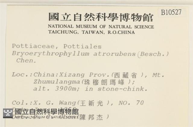 登錄號:B00010527藏品圖，第2張