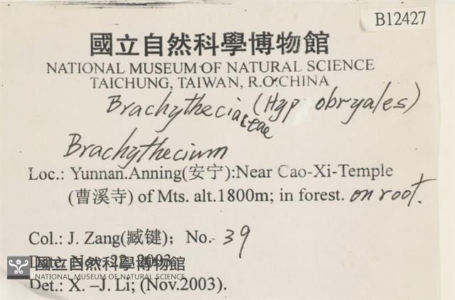 登錄號:B00012427藏品圖，第2張