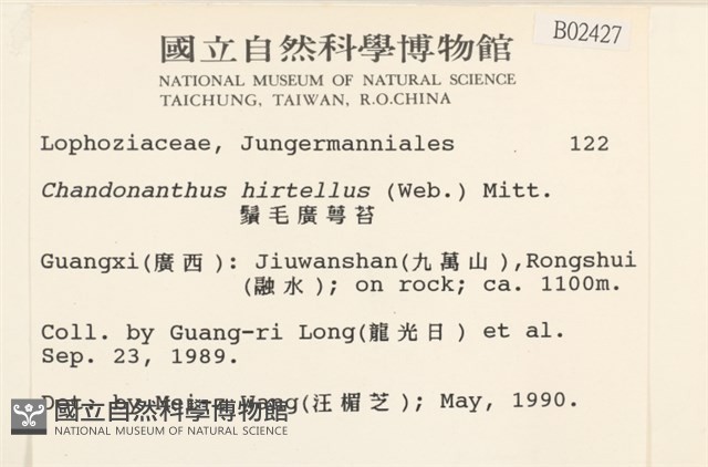齒邊廣萼苔藏品圖，第2張