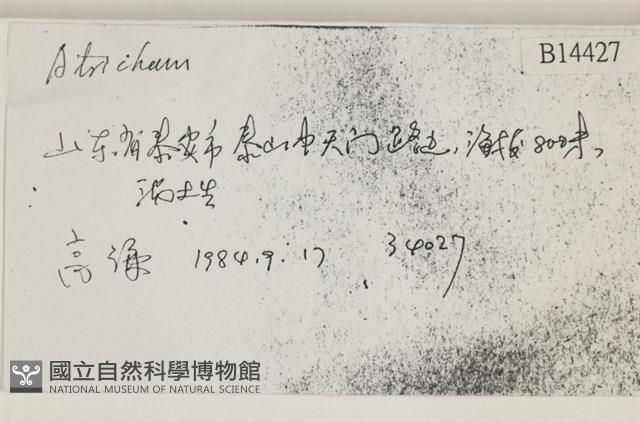 登錄號:B00014427藏品圖，第2張