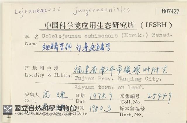 白邊疣鱗苔藏品圖，第2張