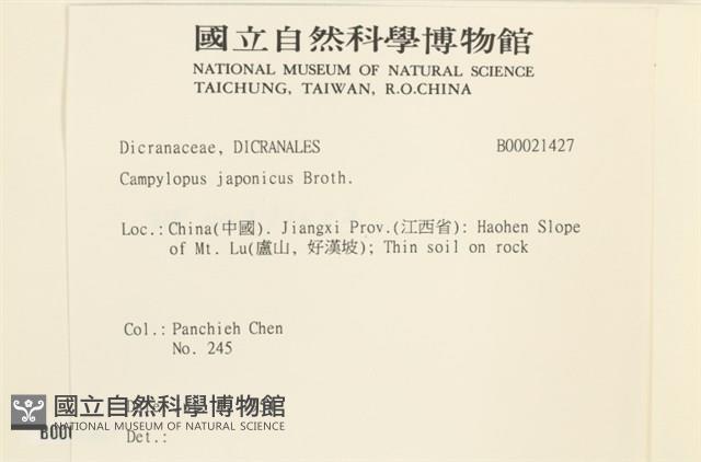 日本曲柄蘚藏品圖，第2張