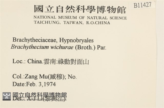 威氏青蘚藏品圖，第2張