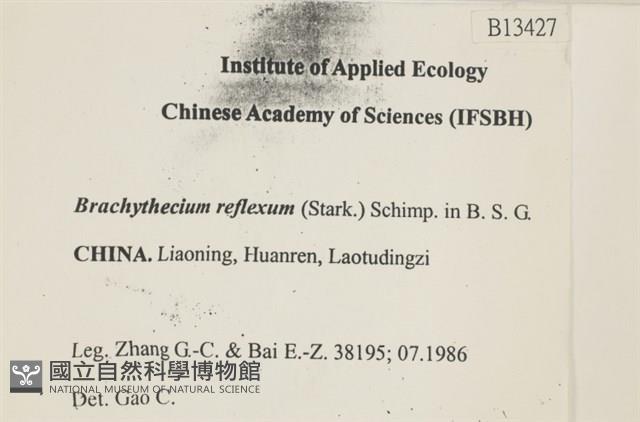 仰葉青蘚藏品圖，第2張