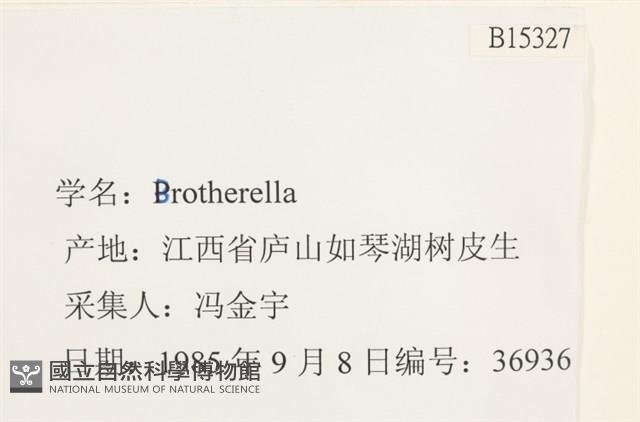 登錄號:B00015327藏品圖，第2張