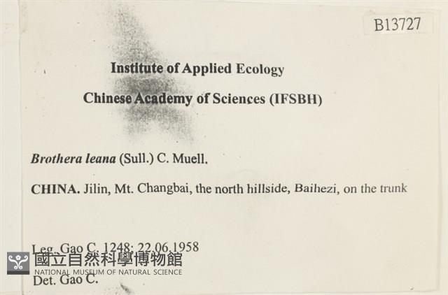 登錄號:B00013727藏品圖，第2張