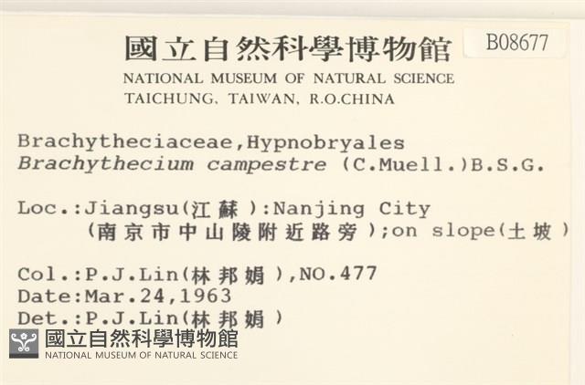 登錄號:B00008677藏品圖，第2張