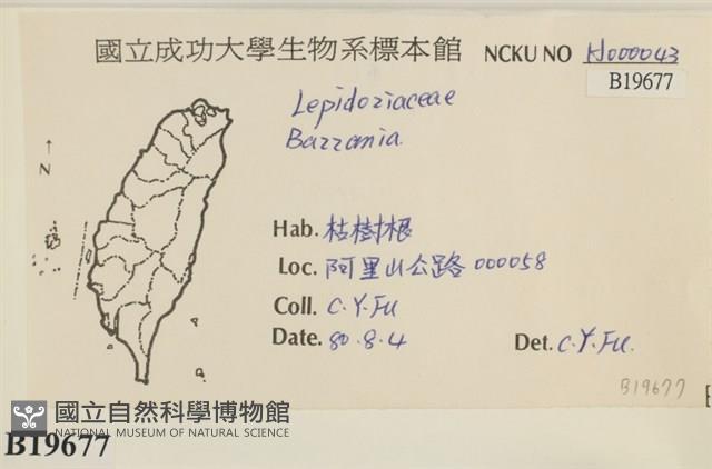 登錄號:B00019677藏品圖，第2張