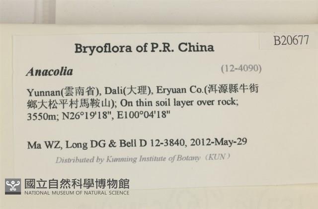 登錄號:B00020677藏品圖，第2張