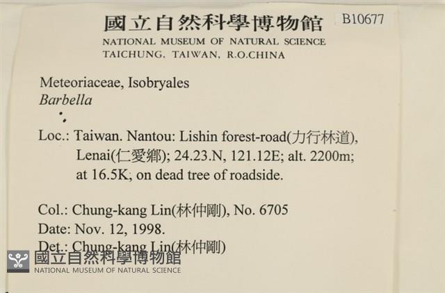 登錄號:B00010677藏品圖，第2張