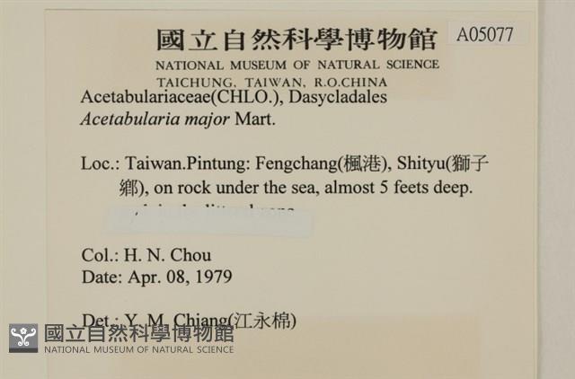 登錄號:A00005077藏品圖，第2張