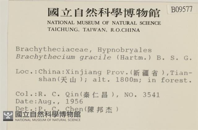 登錄號:B00009577藏品圖，第2張