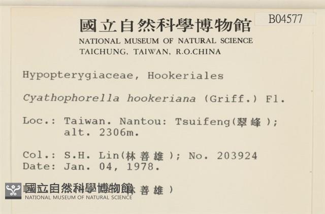 登錄號:B00004577藏品圖，第2張