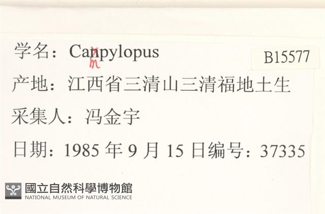 登錄號:B00015577藏品圖，第2張