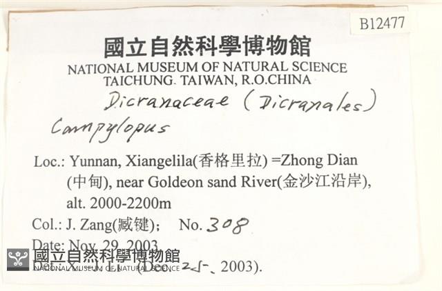 登錄號:B00012477藏品圖，第2張