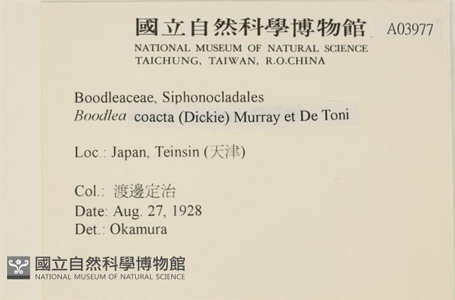 登錄號:A00003977藏品圖，第2張