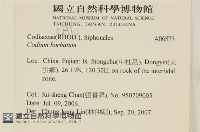 登錄號:A00006877藏品圖，第2張