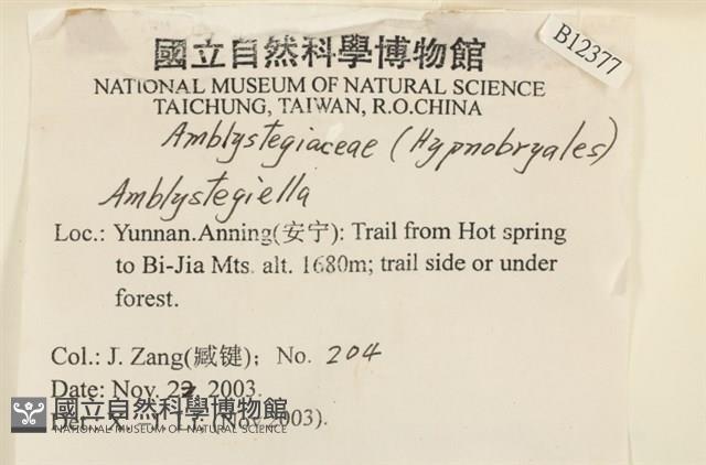 登錄號:B00012377藏品圖，第2張