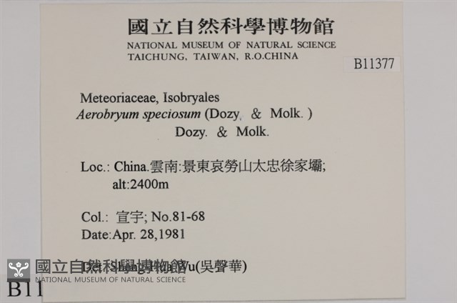 登錄號:B00011377藏品圖，第2張