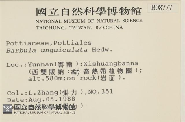 扭口蘚藏品圖，第2張