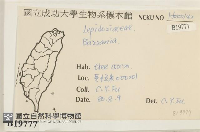 登錄號:B00019777藏品圖，第2張