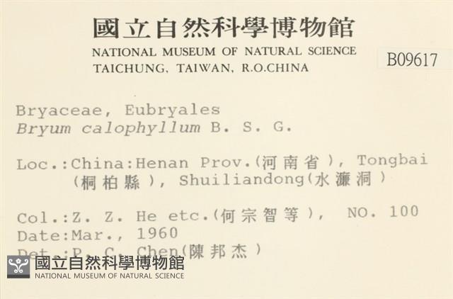 登錄號:B00009617藏品圖，第2張