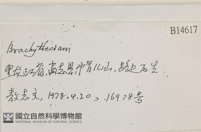 登錄號:B00014617藏品圖，第2張