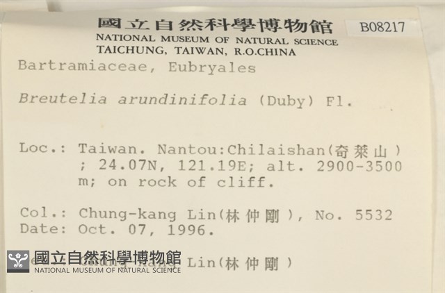 大熱澤蘚藏品圖，第2張