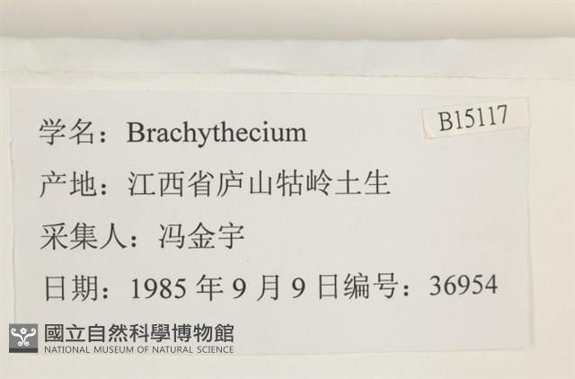 登錄號:B00015117藏品圖，第2張