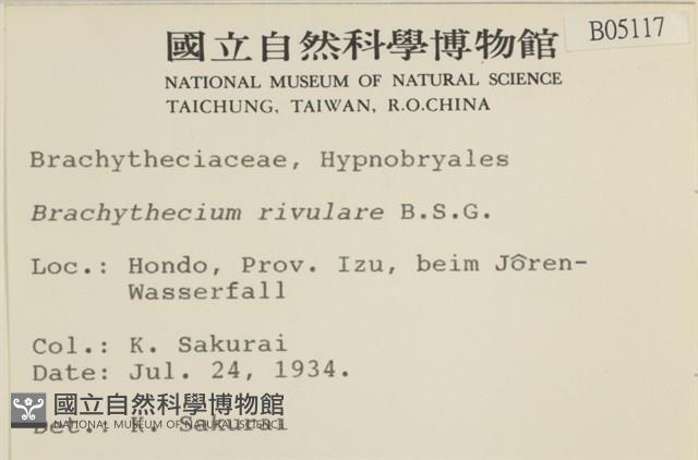 溪邊青蘚藏品圖，第2張