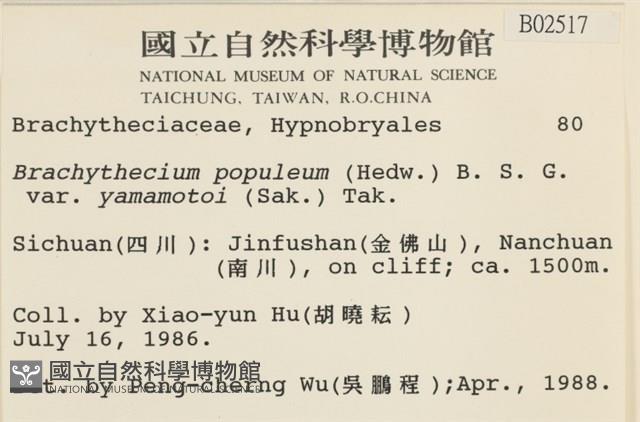 登錄號:B00002517藏品圖，第2張