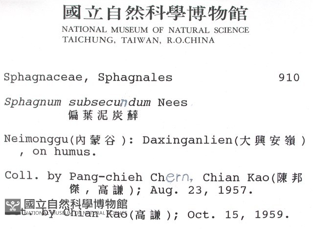偏葉泥炭蘚藏品圖，第2張