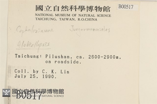 登錄號:B00000517藏品圖，第2張