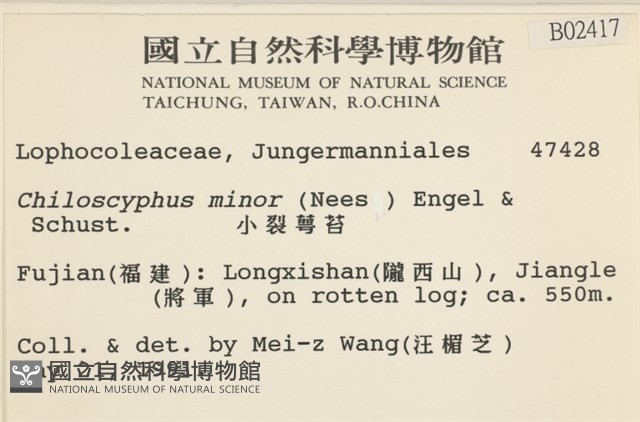 小裂萼苔藏品圖，第2張