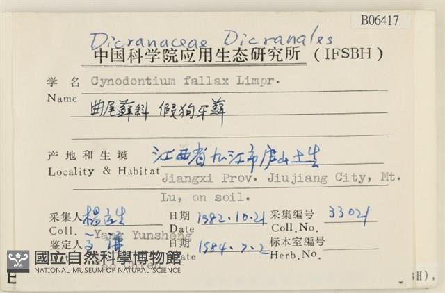 假狗牙蘚藏品圖，第2張