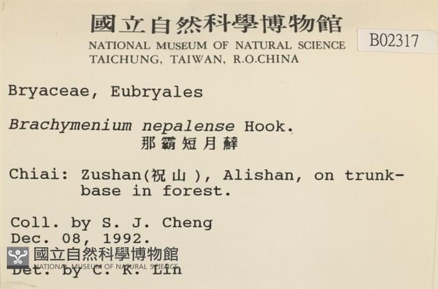 那霸短月蘚藏品圖，第2張